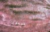 S20231213_0058.jpg