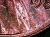 S20231224_0021.jpg
