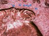 S20231224_0083.jpg