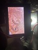 IMG_5268.jpeg