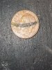 Picture_20240107062646.jpg