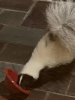 IMG_3137.jpeg