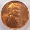 1930-D PCGS O.JPG