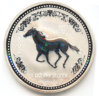 cavallo.jpg