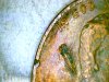 IMG_20240214_062836.jpg