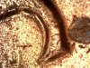 S20240224_0013.jpg