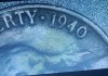20240229_215036.jpg