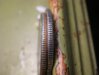 DSCN4640.jpg
