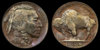 1938D_Nickel_MS66_NGC_direct.jpg