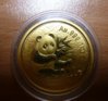 panda 2000 front - Copy.jpg