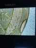 IMG_3639.jpeg