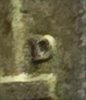 20240310_183943.jpg