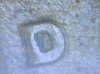 20240318_215753.jpg