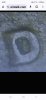 Screenshot_20240319_162232_Chrome.jpg