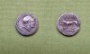Satrienus Roma Wolf Denarius.jpg
