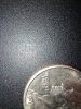 IMG_20240421_215935095.jpg