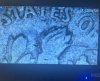 IMG_2612.jpeg