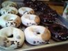 invisiblecatsdonuts.jpg