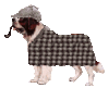 chiens_2-09.gif