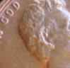 P5080035-001ear.jpg