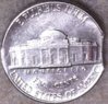 Chip Nickel backside 2.JPG