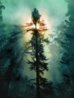 Coast-Redwood.jpg