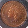 1881 IHC toned obv..jpg