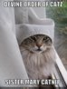 nunnerylolcat.jpg