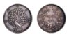 Burma 1852 Kyat Collage.jpg