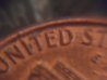 SAM_0655.jpg