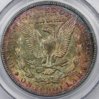 1904orev.jpg