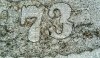 IMG_0061.jpeg