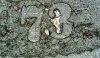 IMG_0060.jpeg