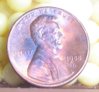 penny.JPG