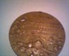 Picture 003.jpg
