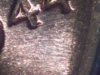 0601200544overdate.jpg