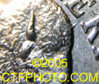 aaa22222.jpg