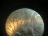 DSC00008.JPG