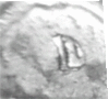 q.2.gif