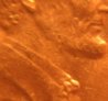 1983_closeup_1.JPG