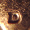 1981D RPM #0002.jpg