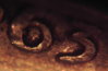 PICT1693.JPG