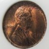 1917- NGC b O3.JPG