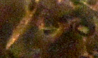 bust_eye.png