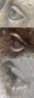Eye1-vert.jpg