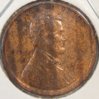 1916- WG63 O.JPG