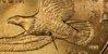Wounded eagle large.jpg