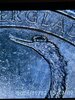 IMG_5124.jpeg