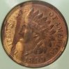 I1899 63 NTC 0.JPG