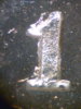 1884-CC.jpg